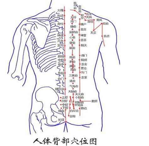 背有痣:辛苦命|背部有痣图解大全 背部有痣的人看命运